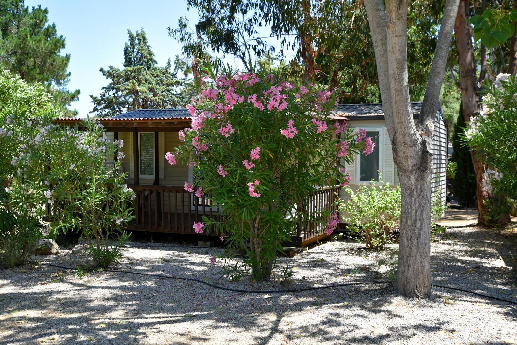 Location Du Ranch Hotel Algajola  Bagian luar foto