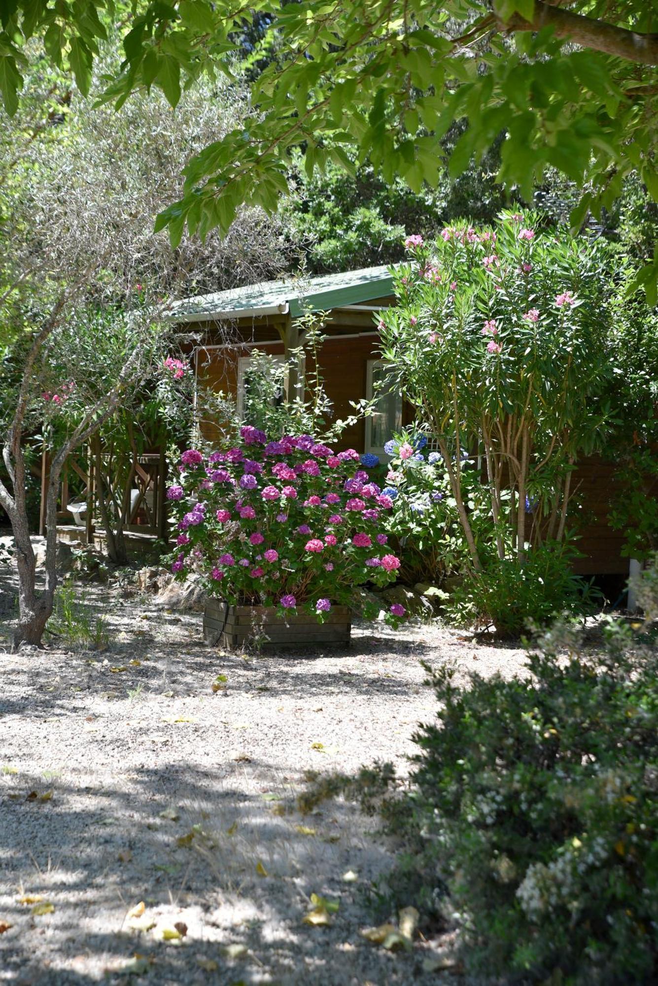Location Du Ranch Hotel Algajola  Bagian luar foto